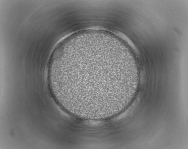 X0000114390831200911271456