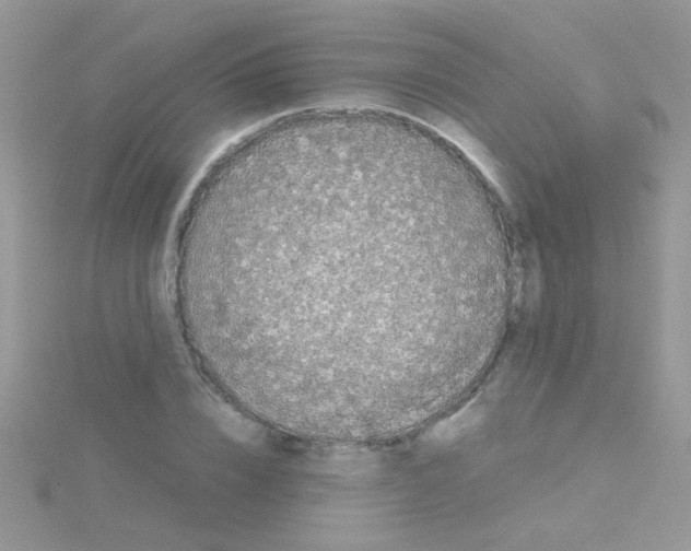 X0000114390832200911271456