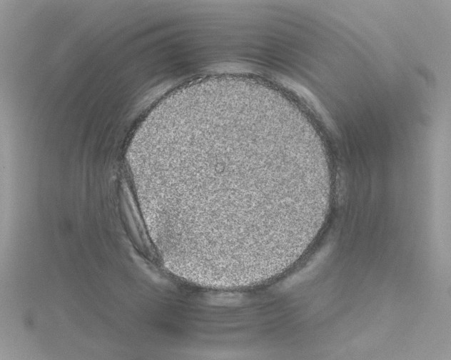 X0000114390833200911271456