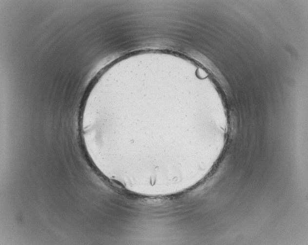 X0000114390834200911271456