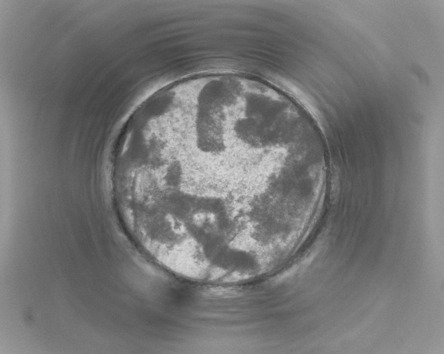 X0000114390835200911271456