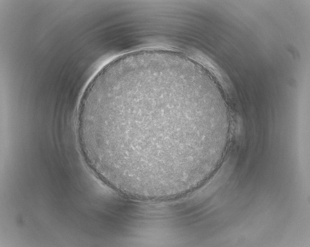 X0000114390836200911271456