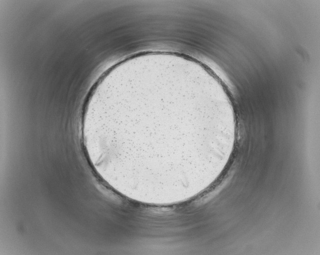 X0000114390837200911271456