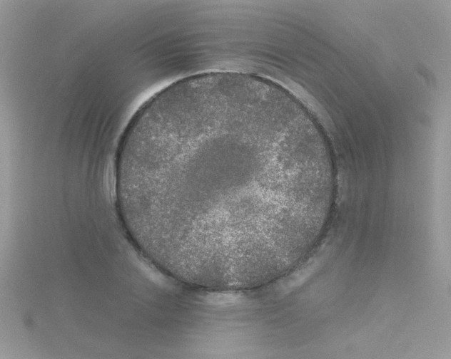 X0000114390838200911271456