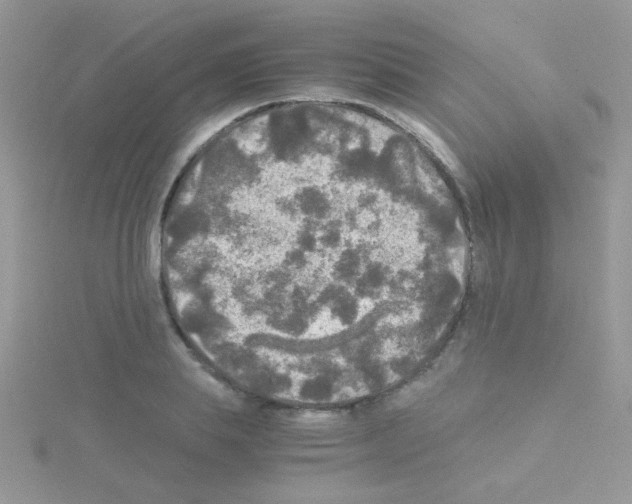 X0000114390839200911271456