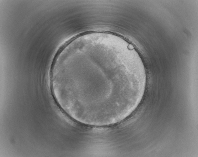 X0000114390840200911271456