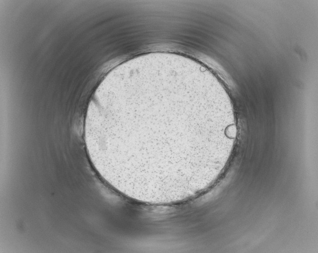 X0000114390841200911271456