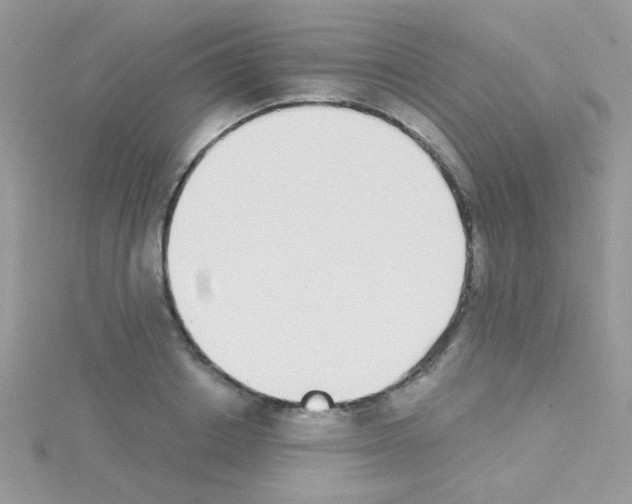 X0000114390842200911271456