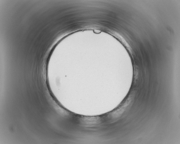 X0000114390843200911271456