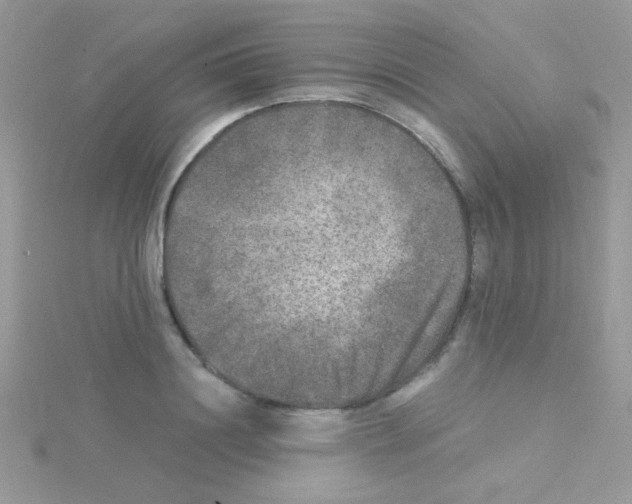 X0000114390844200911271457