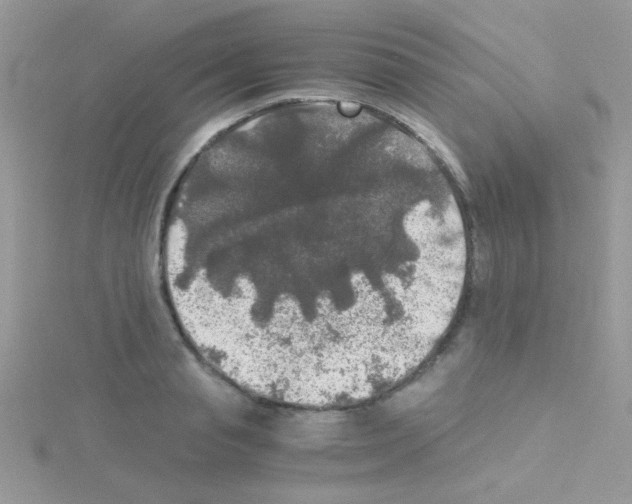 X0000114390845200911271457