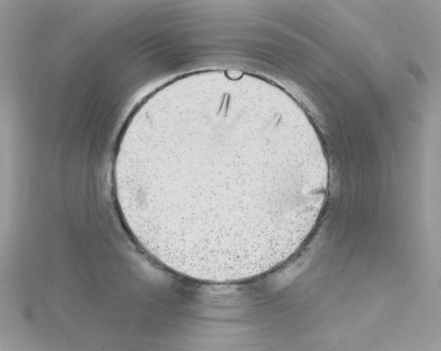 X0000114390846200911271457