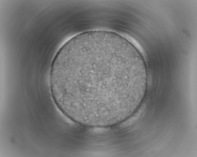 X0000114390847200911271457