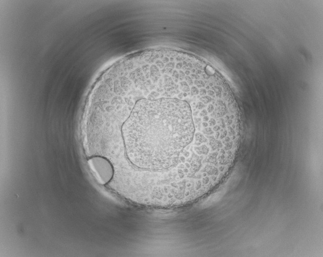 X0000114390848200911271457