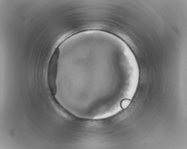 X0000114390850200911271457