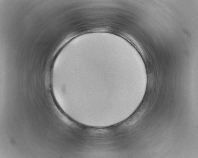 X0000114390851200911271457