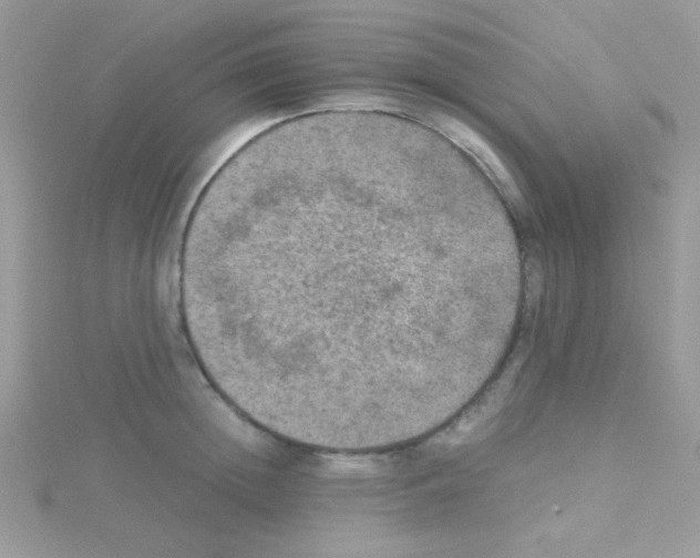 X0000114390852200911271457