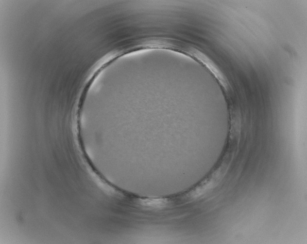 X0000114390853200911271457