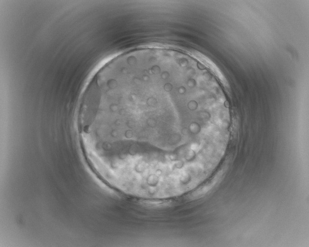 X0000114390855200911271457