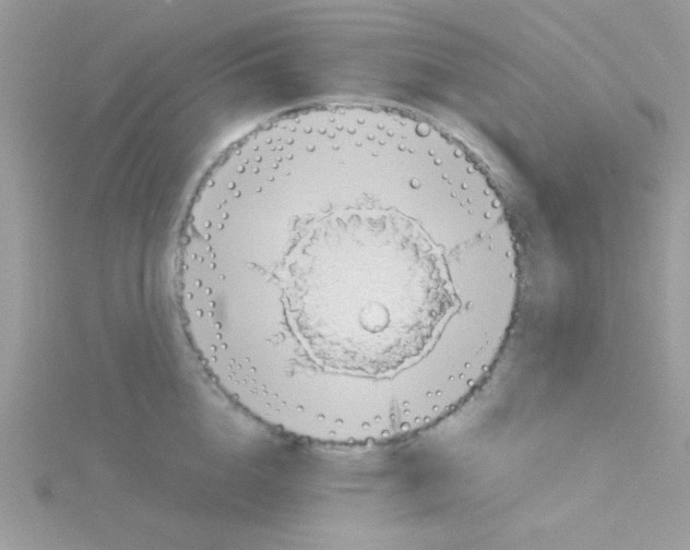 X0000114390856200911271457