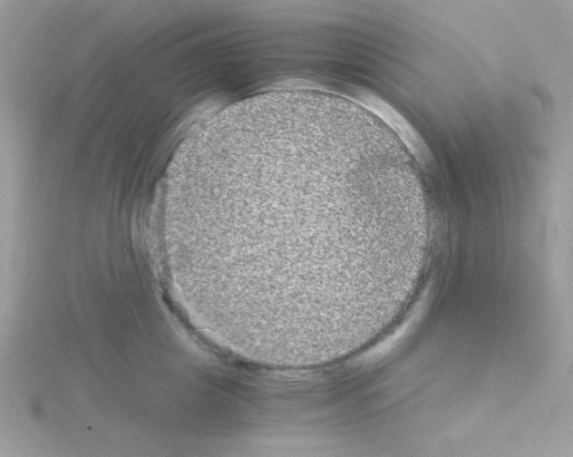 X0000114390857200911271457