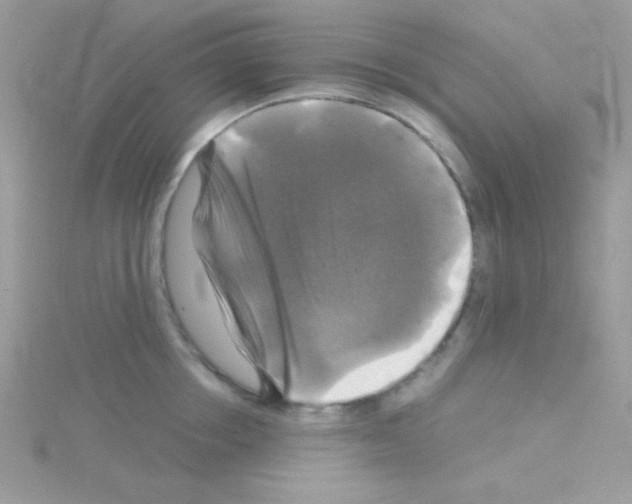 X0000114390858200911271457