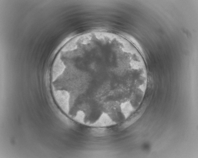 X0000114390859200911271457