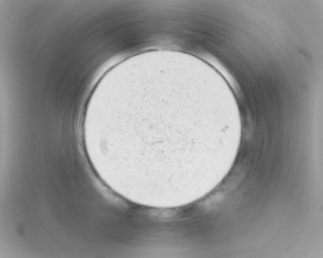 X0000114390861200911271457