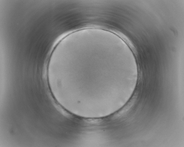 X0000114390862200911271457