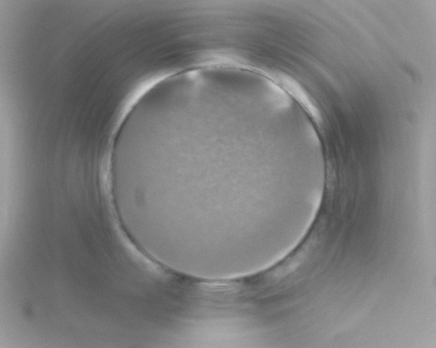 X0000114390863200911271457