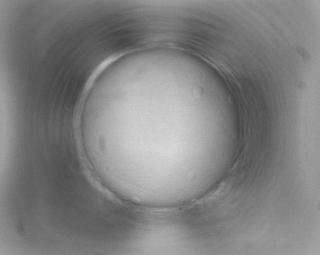 X0000114390864200911271457