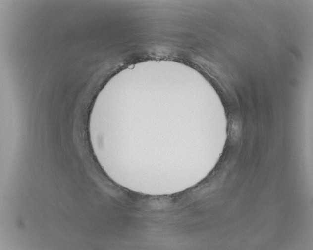 X0000114390865200911271456