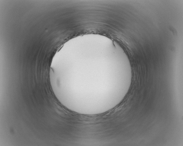 X0000114390868200911271456