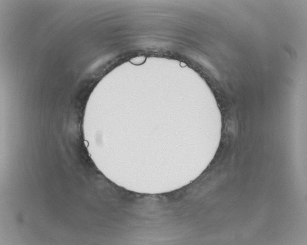 X0000114390869200911271456