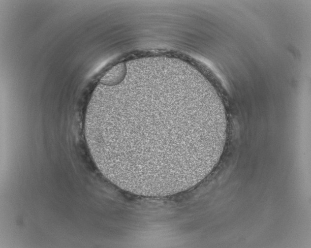 X0000114390871200911271456