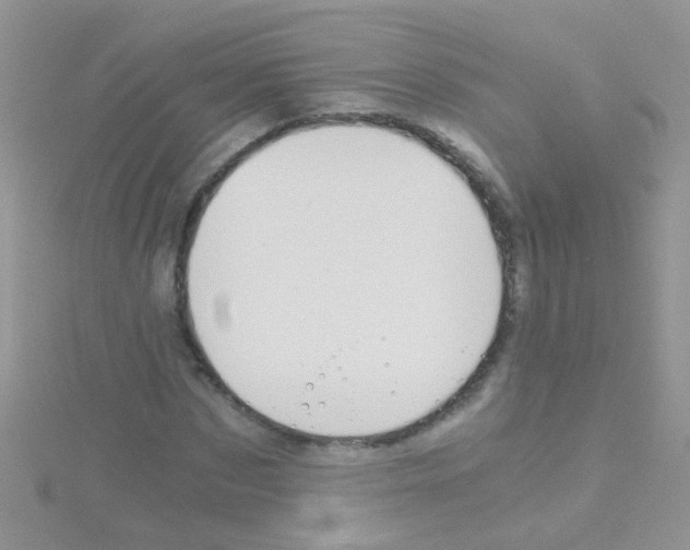 X0000114390873200911271456