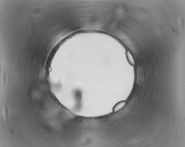 X0000114390876200911271456