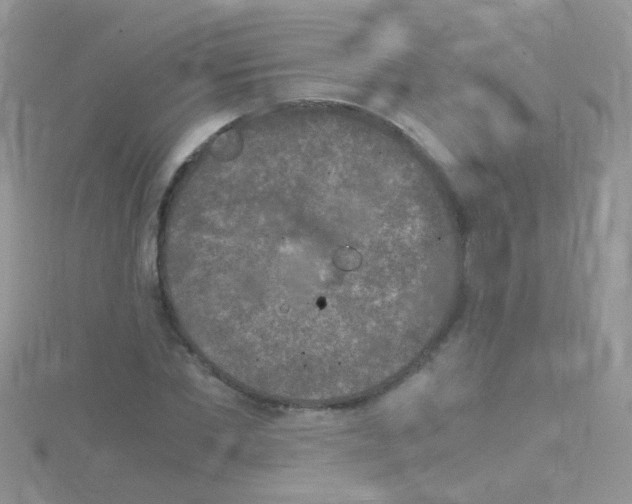 X0000114390877200911271456