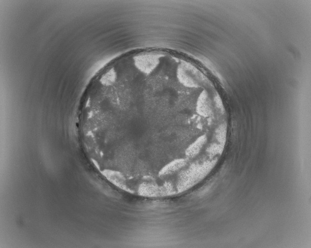 X0000114390879200911271456