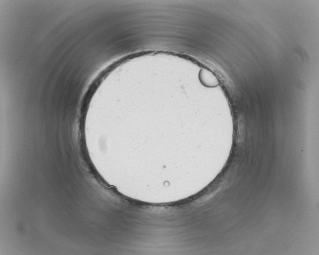 X0000114390880200911271456