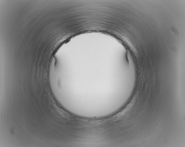 X0000114390881200911271456