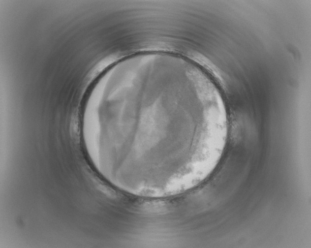 X0000114390882200911271456