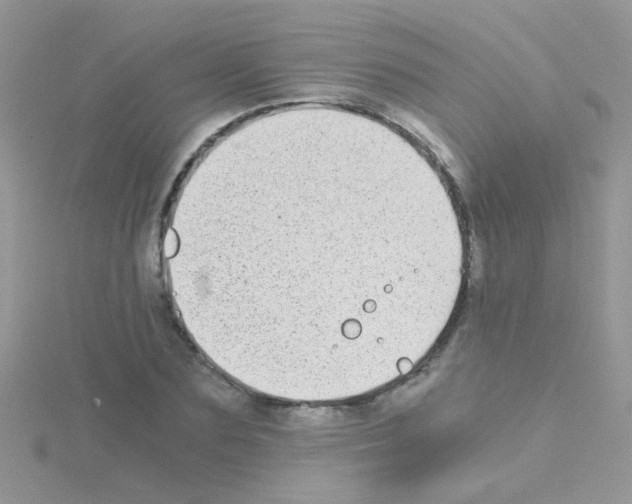 X0000114390883200911271456