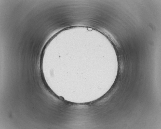 X0000114390884200911271456