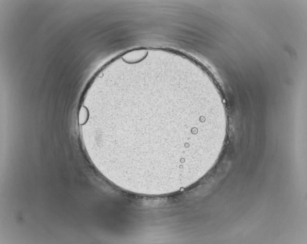 X0000114390887200911271456