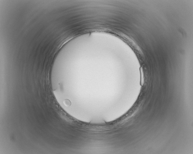 X0000114390889200911271456