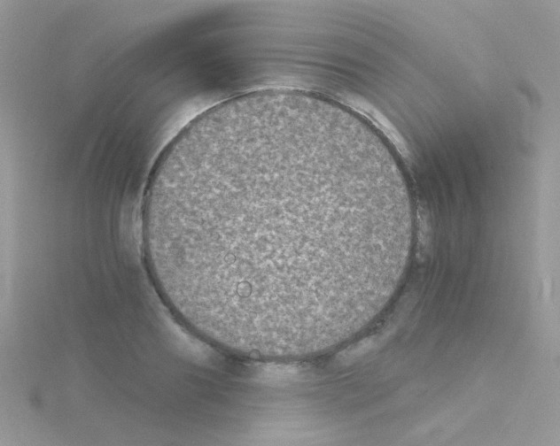 X0000114390890200911271456