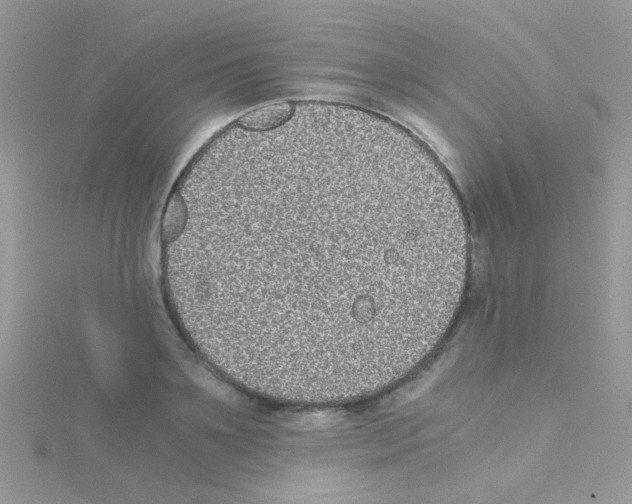 X0000114390891200911271456