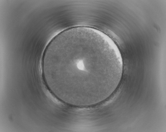 X0000114390892200911271456