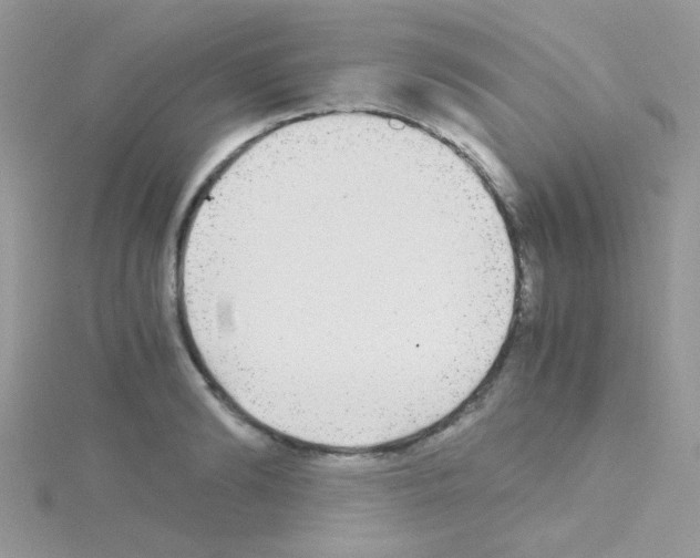 X0000114390894200911271456